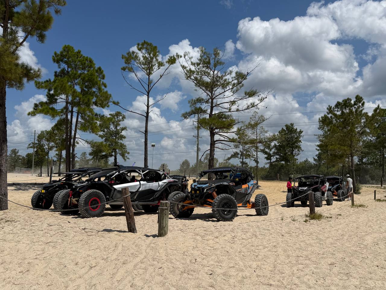 Can-Am alineados en la arena bajo los pinos